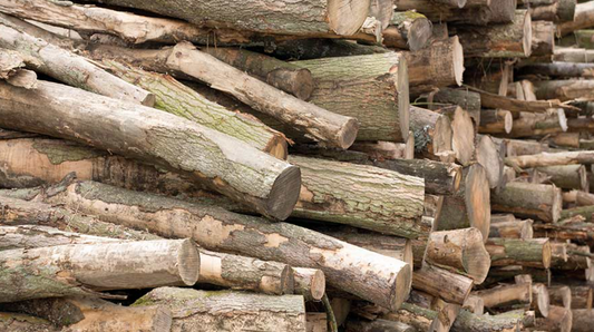 How to Run a Successful Firewood Business