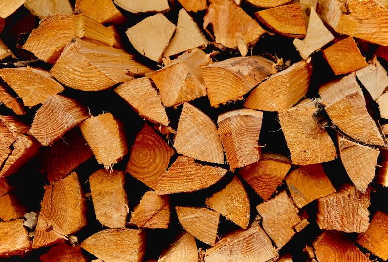 How to Start a Firewood Business: Equipment, Costs, and Planning