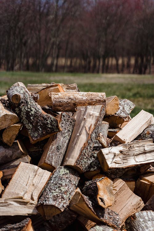 The Ultimate Guide to Preparing and Storing Firewood for Winter: Expert Tips for Efficiency and Longevity