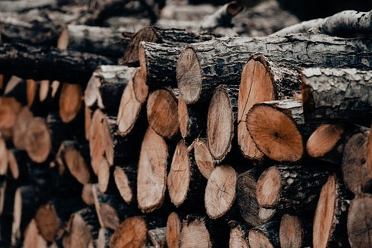 Trends Transforming the Firewood Industry (2026)